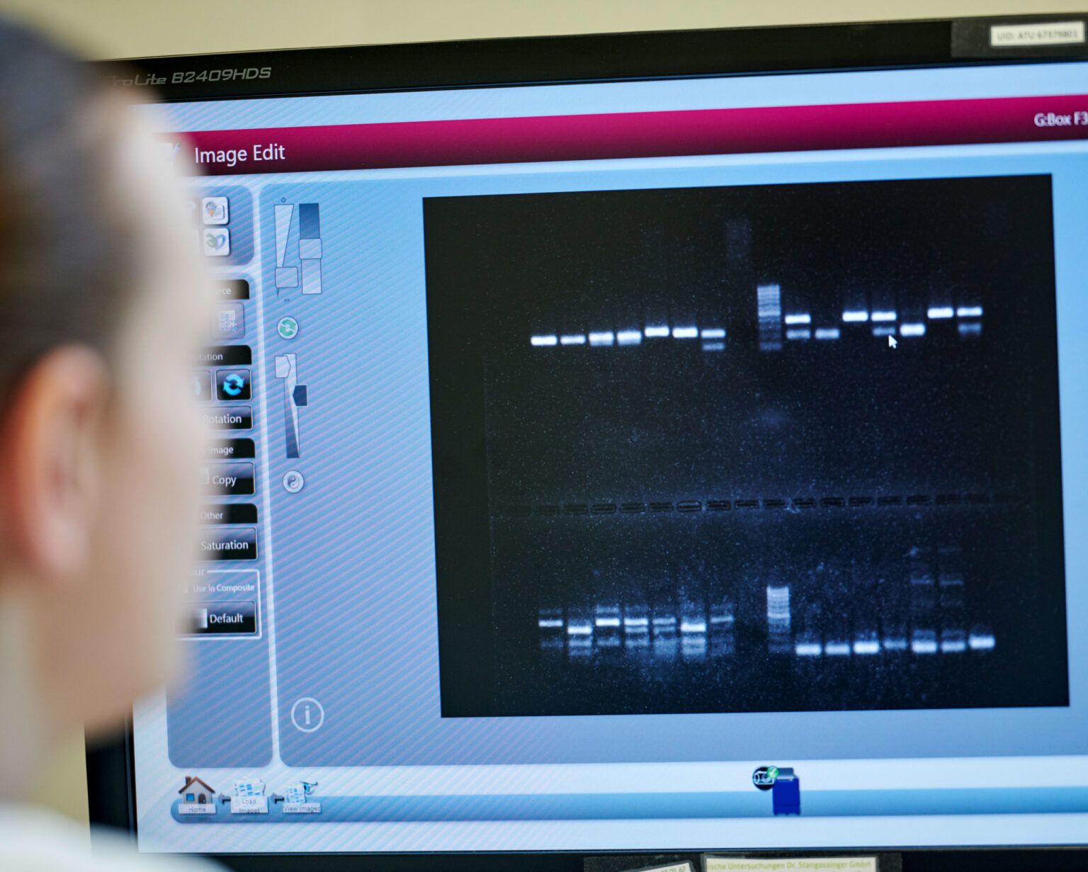 DNA-Analyse im Labor des Geninstituts